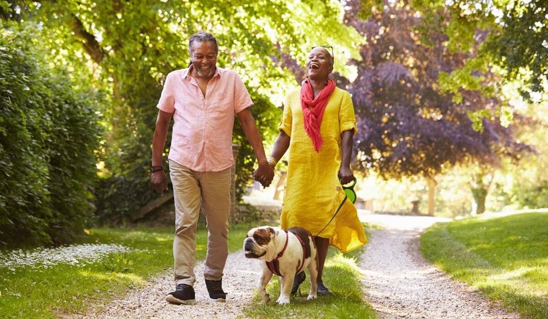 Older African American couple walking their dog